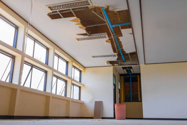 Best Water damage cleanup near me  in Plentywood, MT