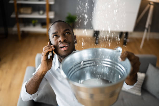Best 24/7 water damage repair  in Plentywood, MT