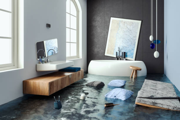 Best Carpet water damage restoration  in Plentywood, MT