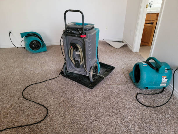  Plentywood, MT Water damage restoration Pros