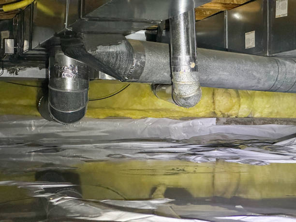 Best Water damage restoration near me  in Plentywood, MT