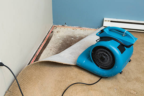 Fire Damage Restoration in Plentywood, MT